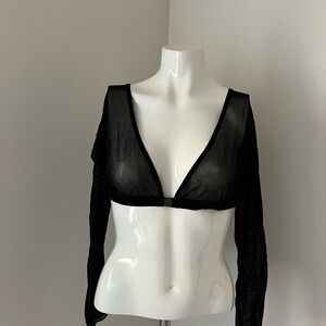 Elegant Black Sheer Crop Top